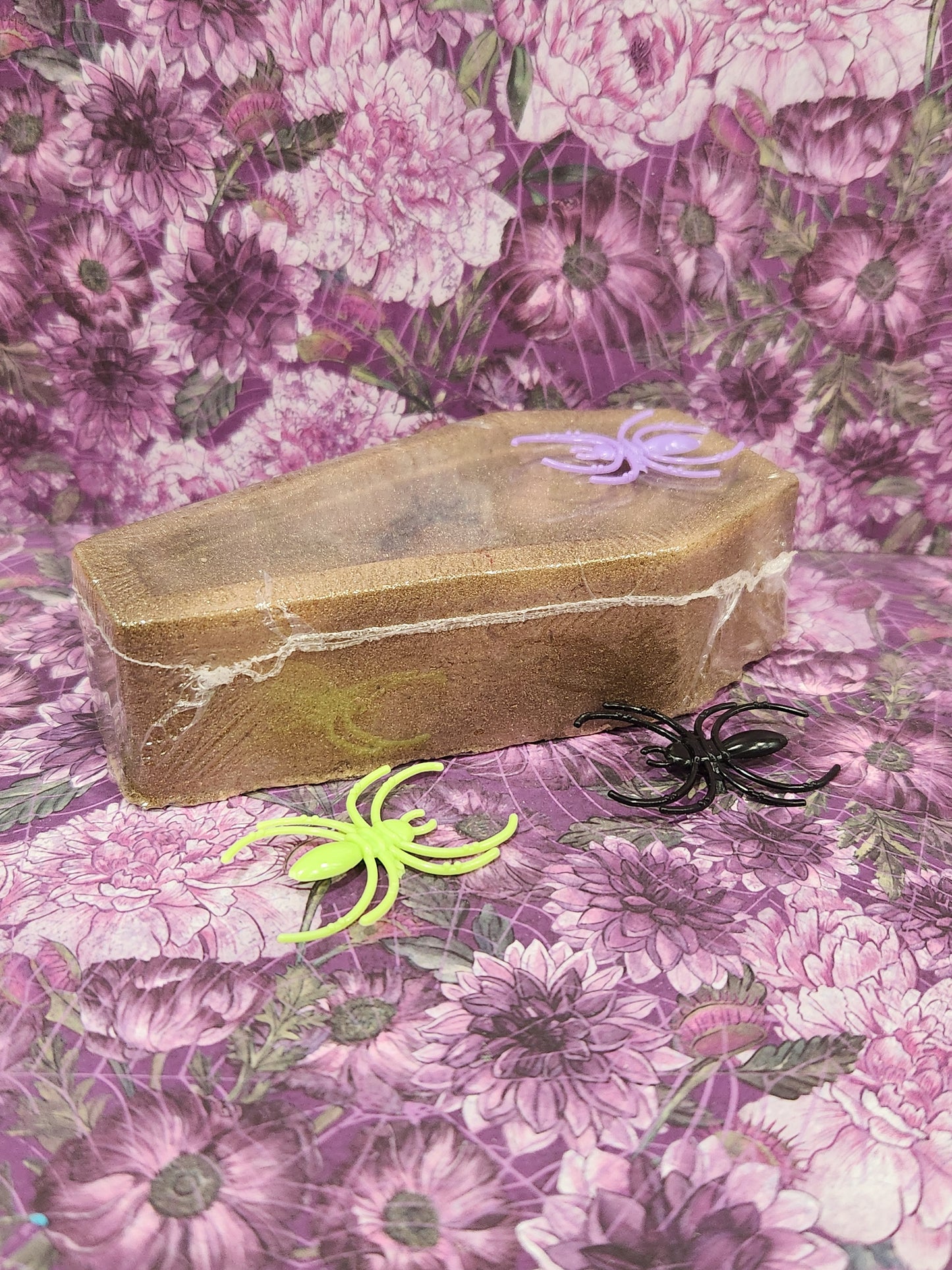 Coffin & Spiders